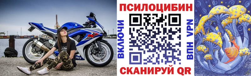 KRAKEN   Лянтор  Галлюциногенные грибы мицелий 