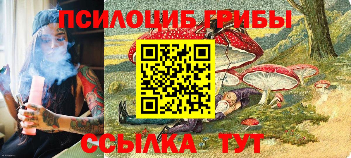 Галлюциногенные грибы Psilocybe Лянтор