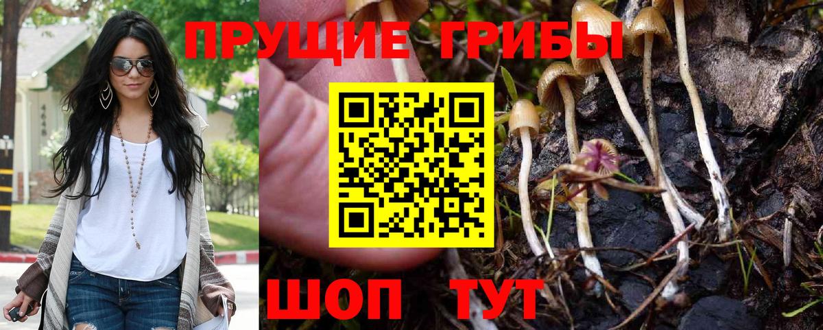 Лянтор  Галлюциногенные грибы MAGIC MUSHROOMS  Вход с VPN  Галлюциногенные грибы GOLDEN TEACHER 
